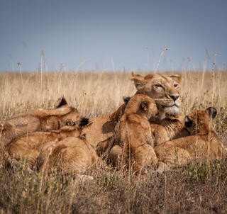 Eventyr i Tanzania og Zanzibar