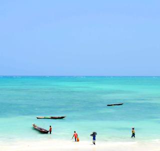 Fly-inn Gorillatrekking & Zanzibar
