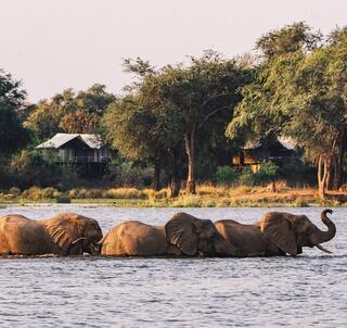 Safarieventyr i Malawi og Zambia