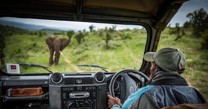 Borana Lodge