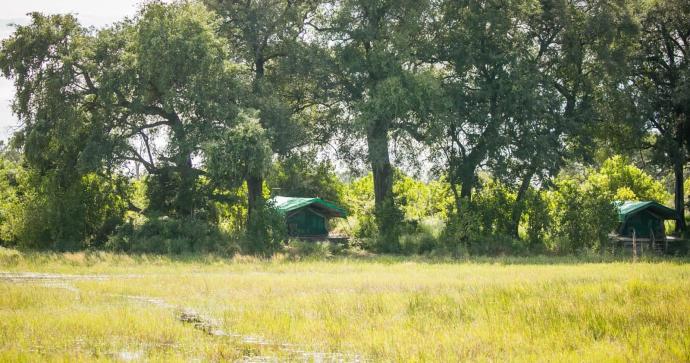 Bushma's Plain Camp