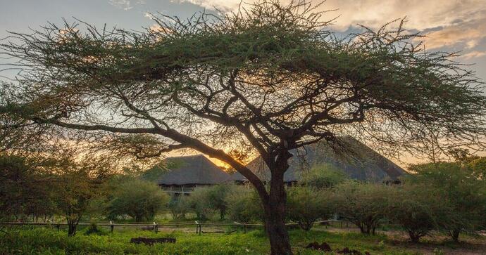 Chobe Bush Lodge