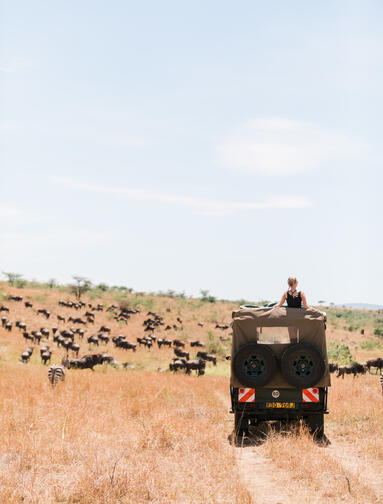 Julen 2026 Soloreise Ngorongorokrateret, Tarangire & Zanzibar