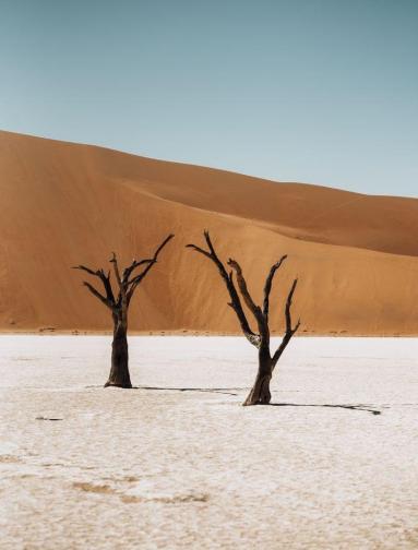 Det beste av Namibia