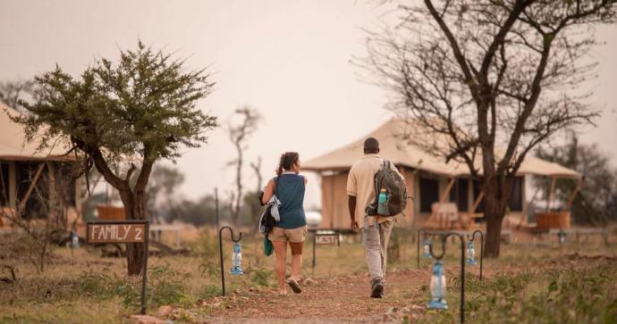 Dove Nest Serengeti