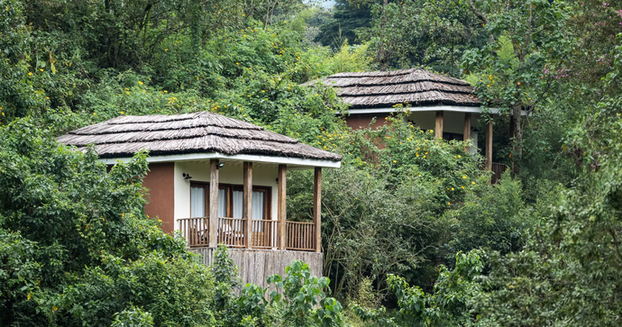 Four Gorillas Lodge