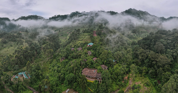 Four Gorillas Lodge