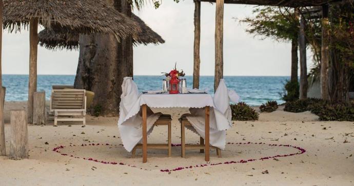 Fun Beach Dinner on The Beach