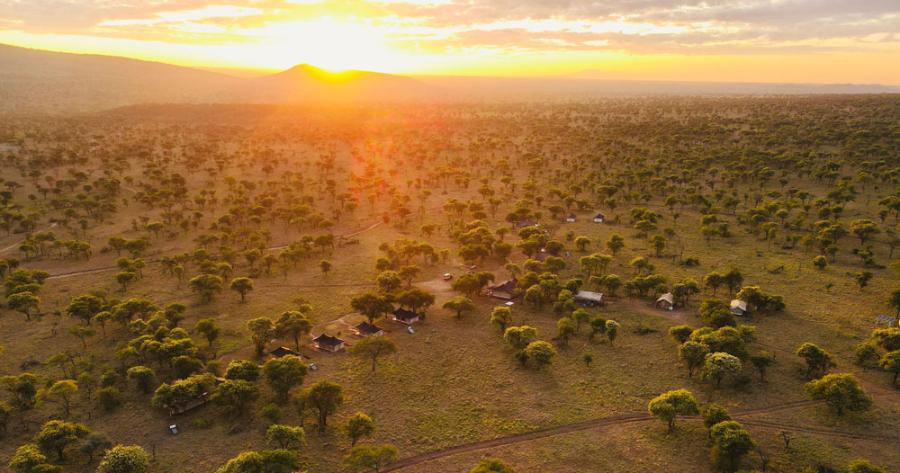 Golden Safari Camps