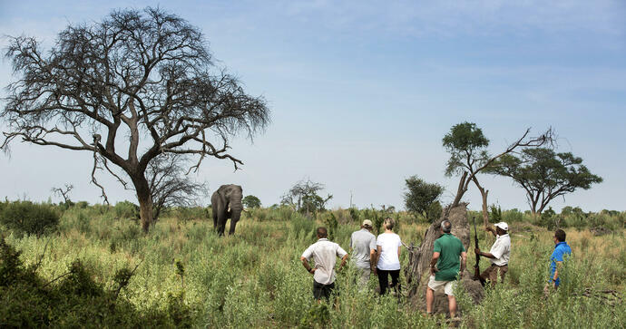 Gomoti Plains Camp