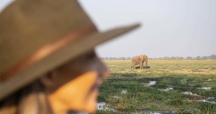 Kafunta River Lodge