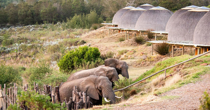 Kwena Lodge