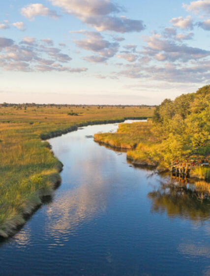Okavango Delta – Botswanas vannrike tilbyr en unik safariopplevelse