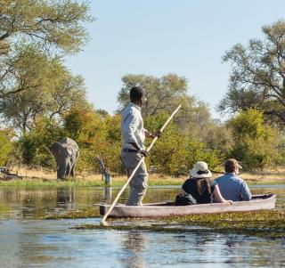 Julen 2026 - Magiske Victoria Falls og safari i Botswana