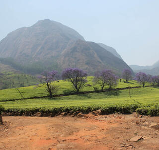Fjelltur, Safari & Lake Malawi