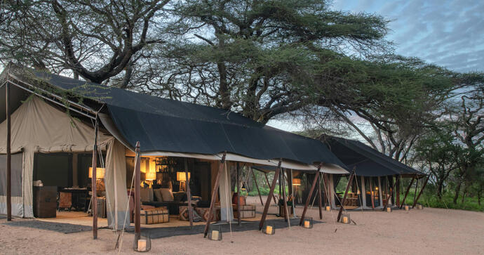 Mwiba Plains