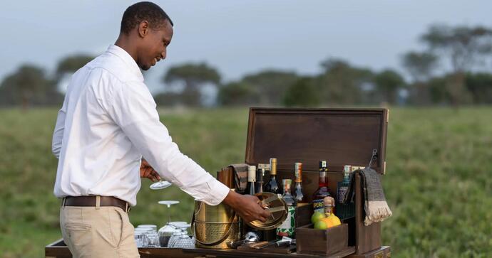 Mwiba Plains