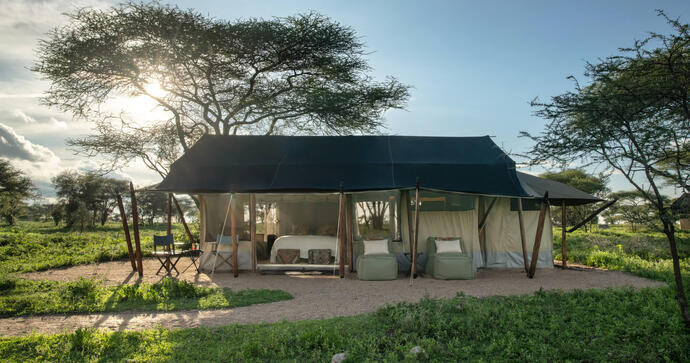 Mwiba Plains