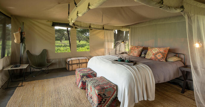 Mwiba Plains