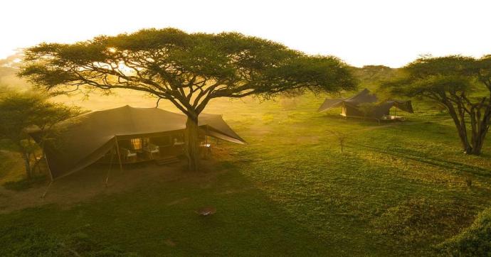 Nyuki Migration Camp