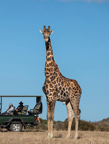 Eksklusiv generasjonsreise i Sør-Afrika & Mosambik