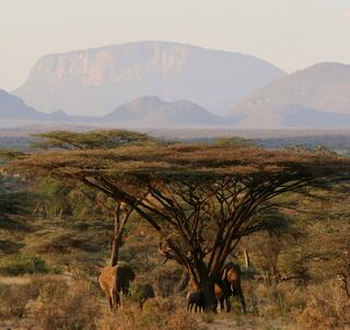 Samburu, Lake Naivasha & Masai Mara