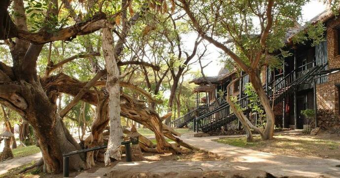 Sarova Shaba Game Lodge