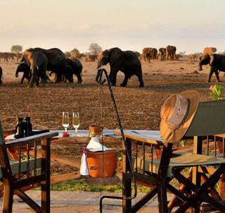 Tsavo & Det indiske hav