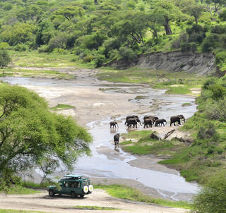 Tarangire & Mafia Island