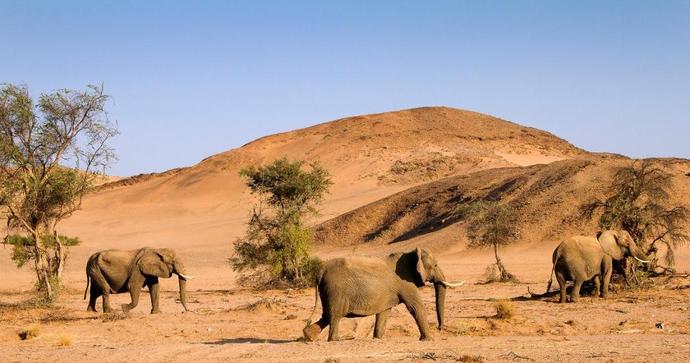 Twyfelfontein Country Lodge