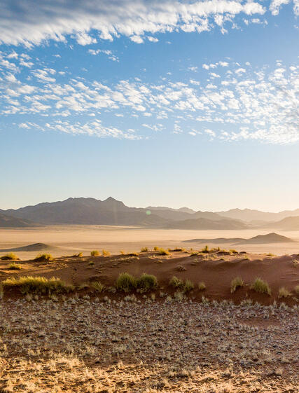 Kalahari-ørkenen – Reis gjennom Afrikas legendariske sandørken