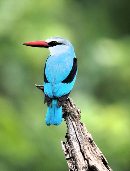 KwaZulu-Natal – oppdag Sør-Afrikas best bevarte hemmelighet