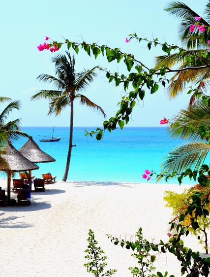 Vår guide til Zanzibars vakreste strender og skjulte perler