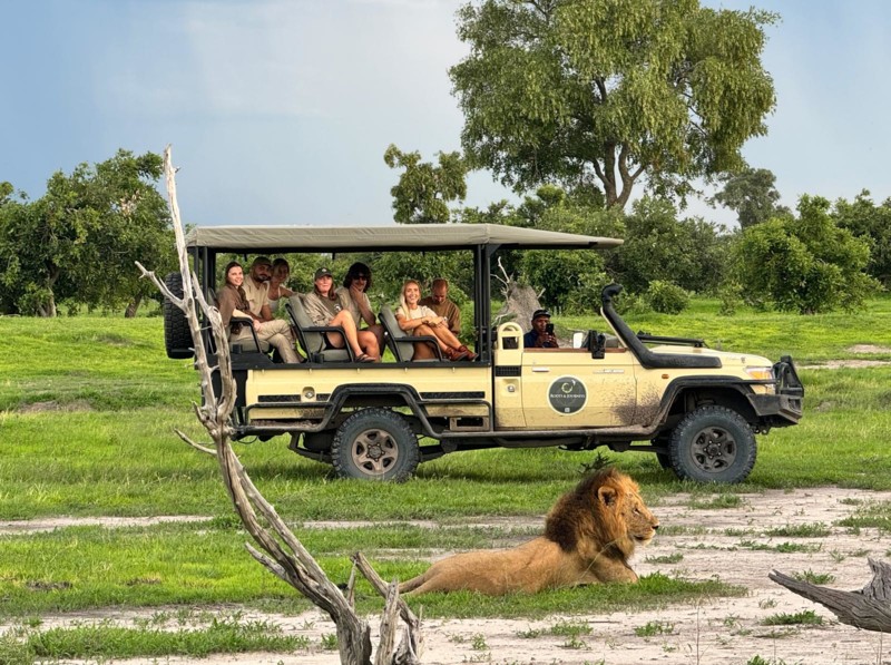 Beste turoperat&oslash;r for safari i Afrika