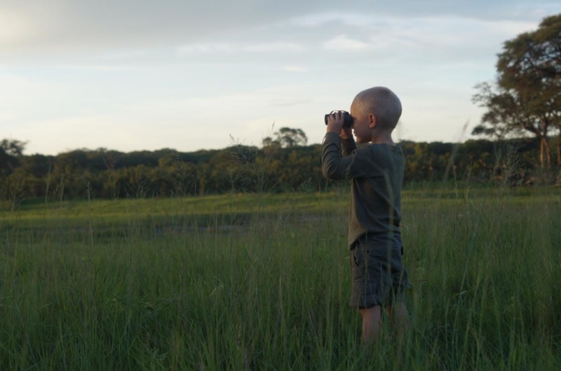 Engasjer barna med morsomme safariaktiviteter.