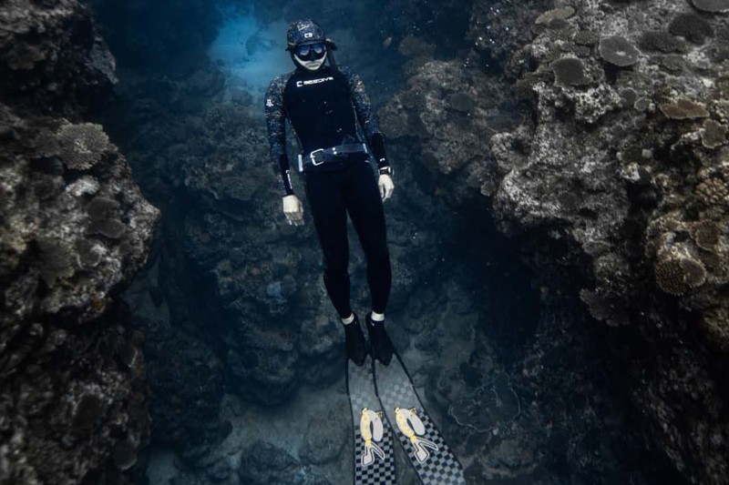 Snorkling og dykking i Kenyas magiske korallrev