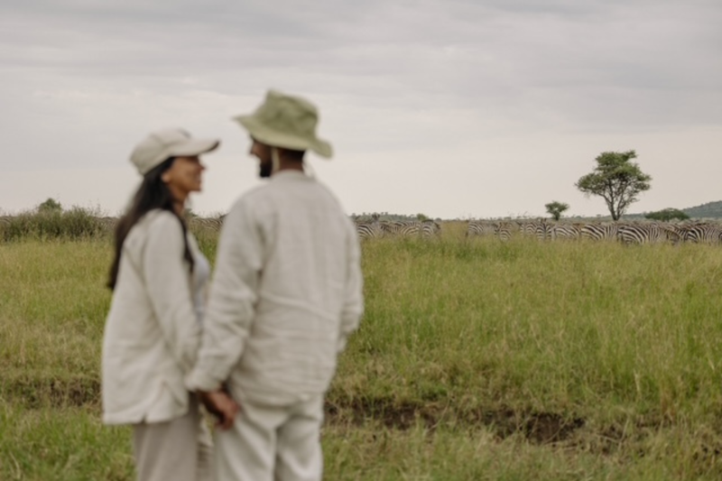 Forlovelse blant sebraer på safari i Serengeti