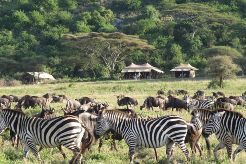 Unng&aring; transportetapper for &aring; f&aring; mest mulig ut av safarireisen