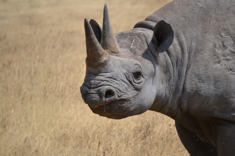 Forbered barna med bøker og filmer.