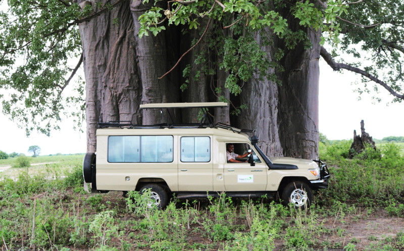 Bestill privat safaribil.