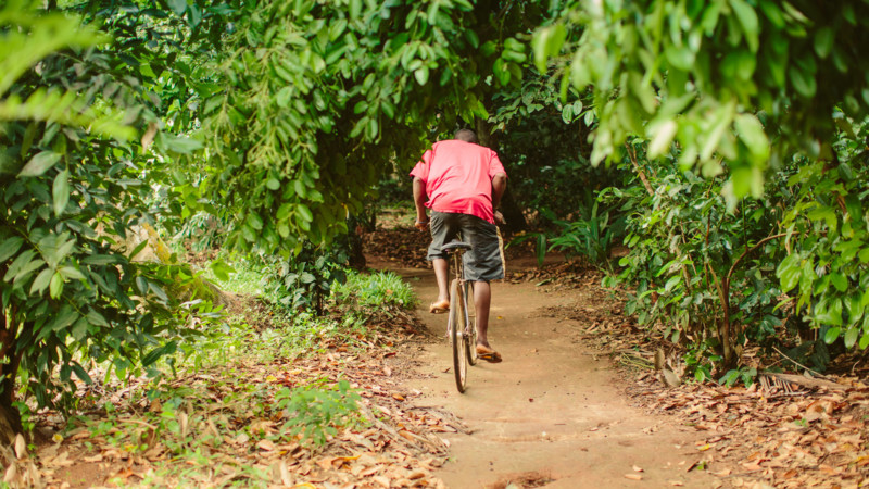 Utforsk Zanzibar utenfor turistløypene – med sykkel, buss eller tuktuk.