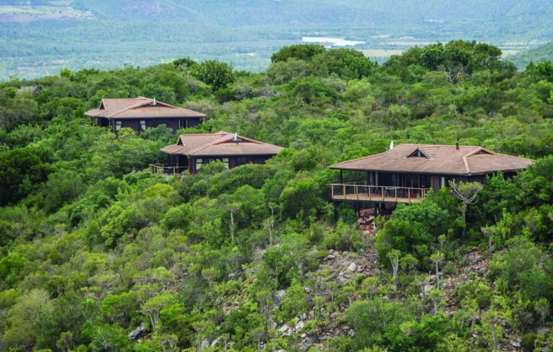 Plutselig har en flokk elefanter blokkert veien, i et øyeblikk står tiden stille... Vi returnerer til Kariega Main Lodge med et smil om munnen og sovende barn.