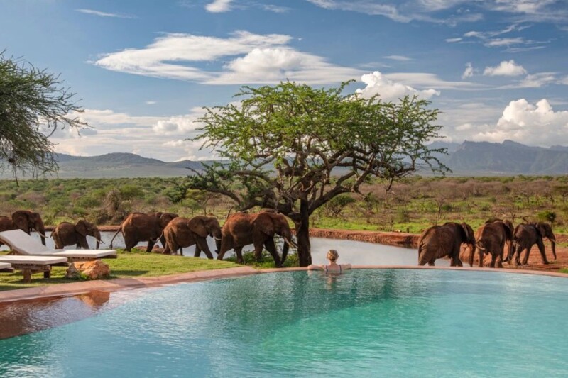 Kenya &ndash; private reservater til rimelig pris