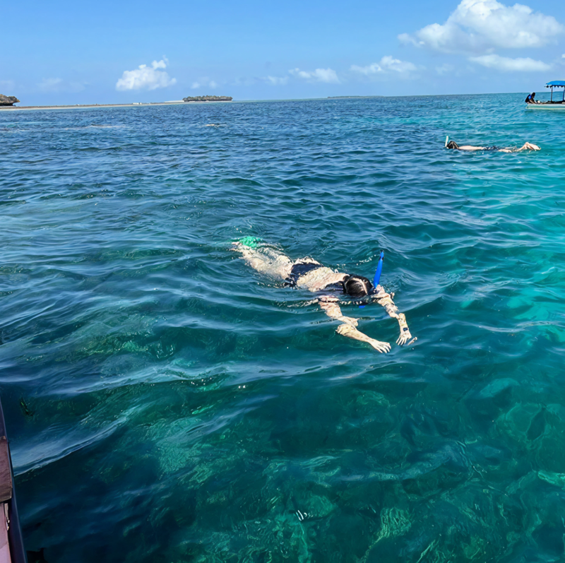 Snorkling og dykking p&aring; Zanzibar