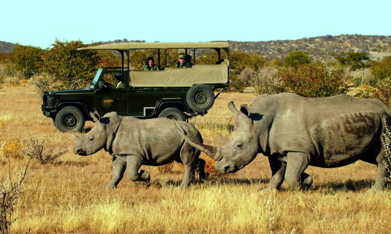 Kruger nasjonalpark eller KwaZulu-Natal?
