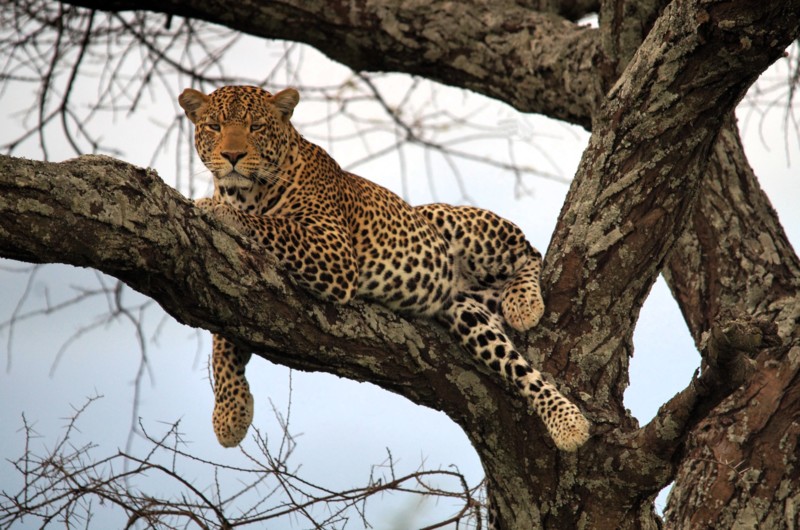 Ordne vaksiner i god tid