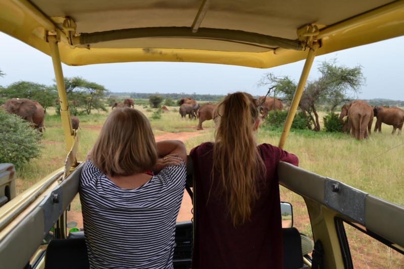 Den beste turoperat&oslash;ren for safari jobber kun med safari