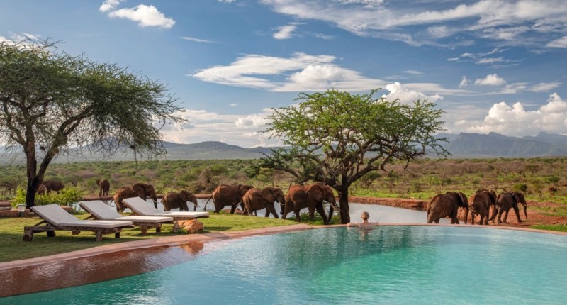 Kenya – private reservater til rimelig pris