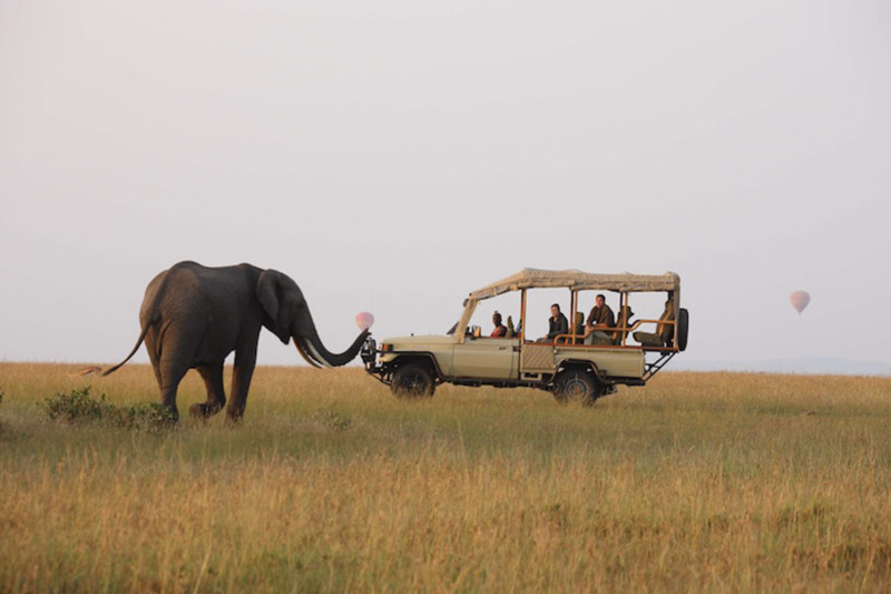 En elefant står foran en jeep på safari i Kenya, med luftballonger i bakgrunnen.