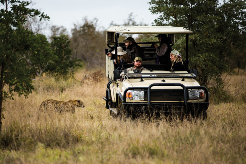 Sør-Afrika – safari, vin og storby i verdensklasse